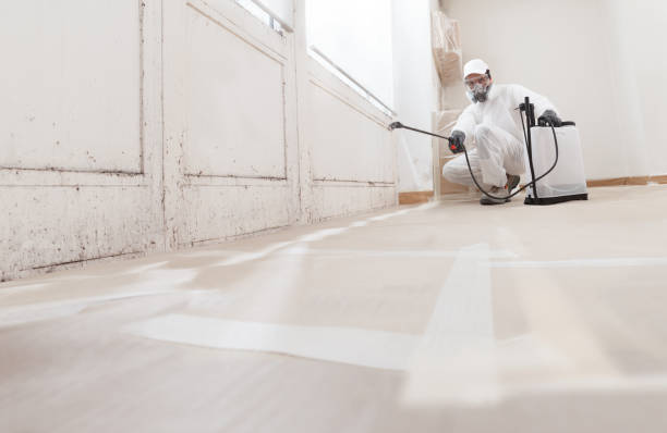 24/7 Emergency Mold Remediation experts in Peoria, IL